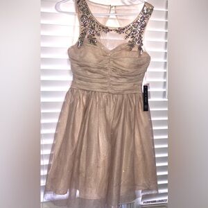 As U Wish Sparkle Dress